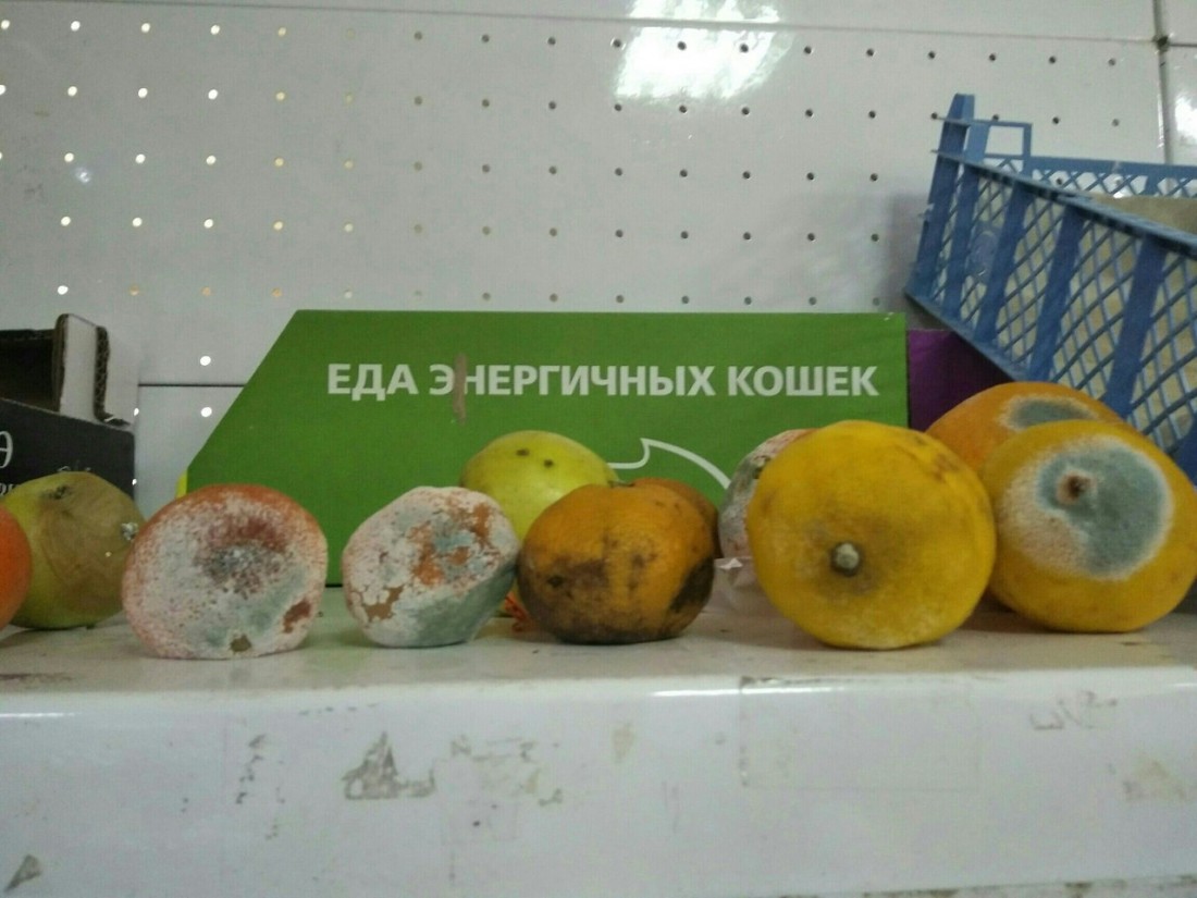 �������, ���������� � �������� ����