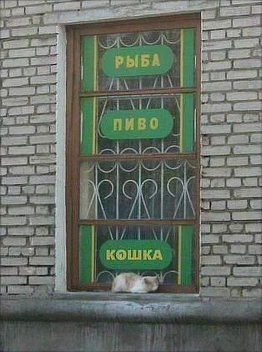 �������, ���������� � �������� ����