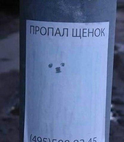 �������, ���������� � �������� ����