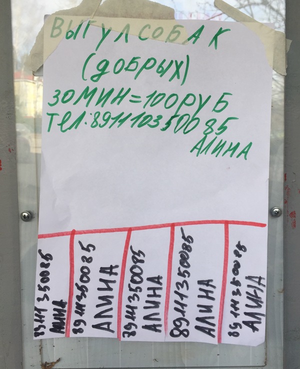 �������, ���������� � �������� ����