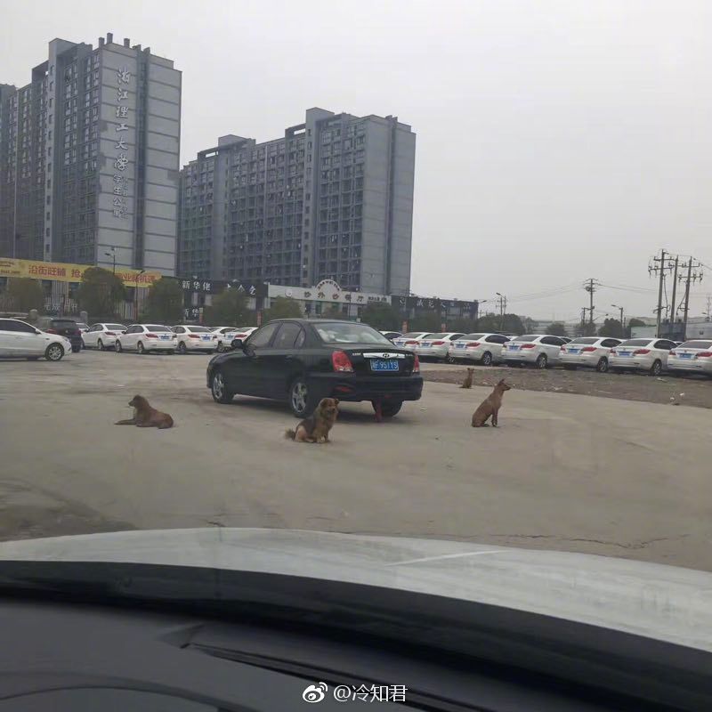 �������, ���������� � �������� ����