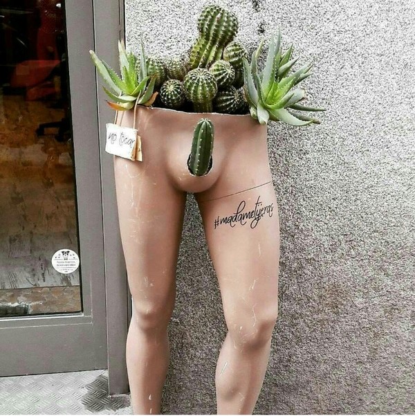 �������, ���������� � �������� ����