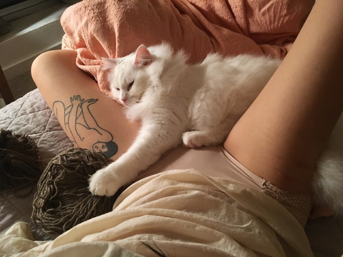 �������, ���������� � �������� ����