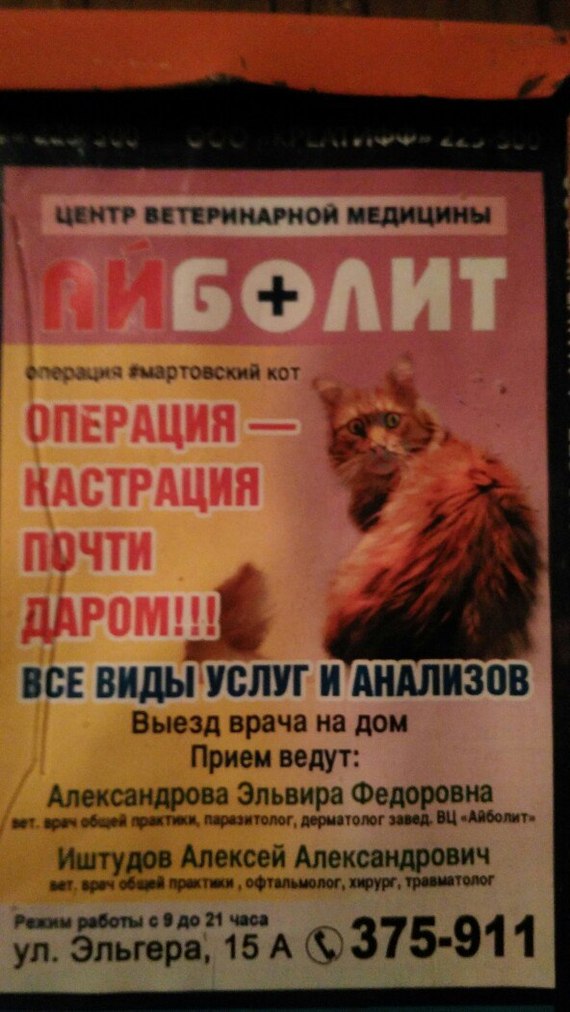 �������, ���������� � �������� ����