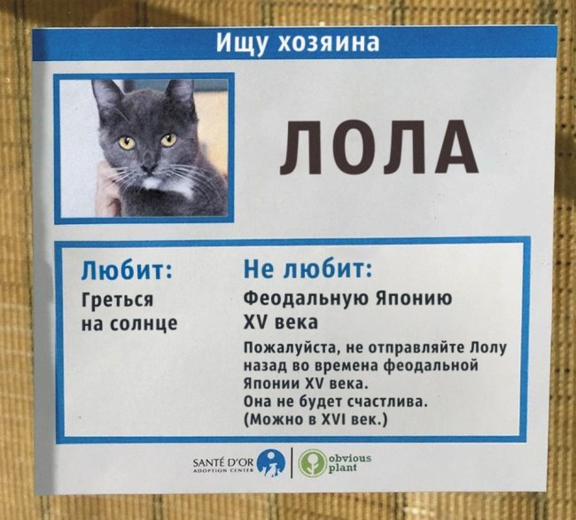 �������, ���������� � �������� ����