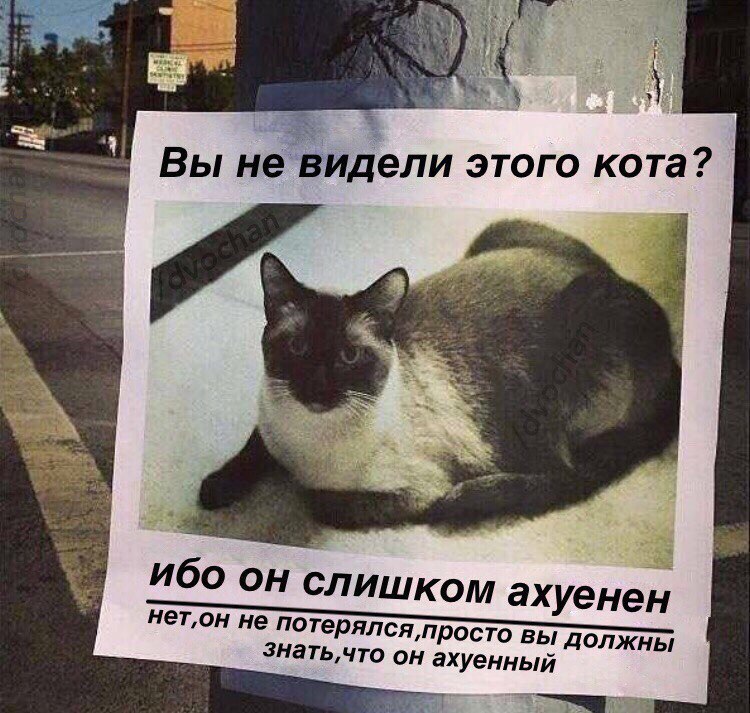 �������, ���������� � �������� ����