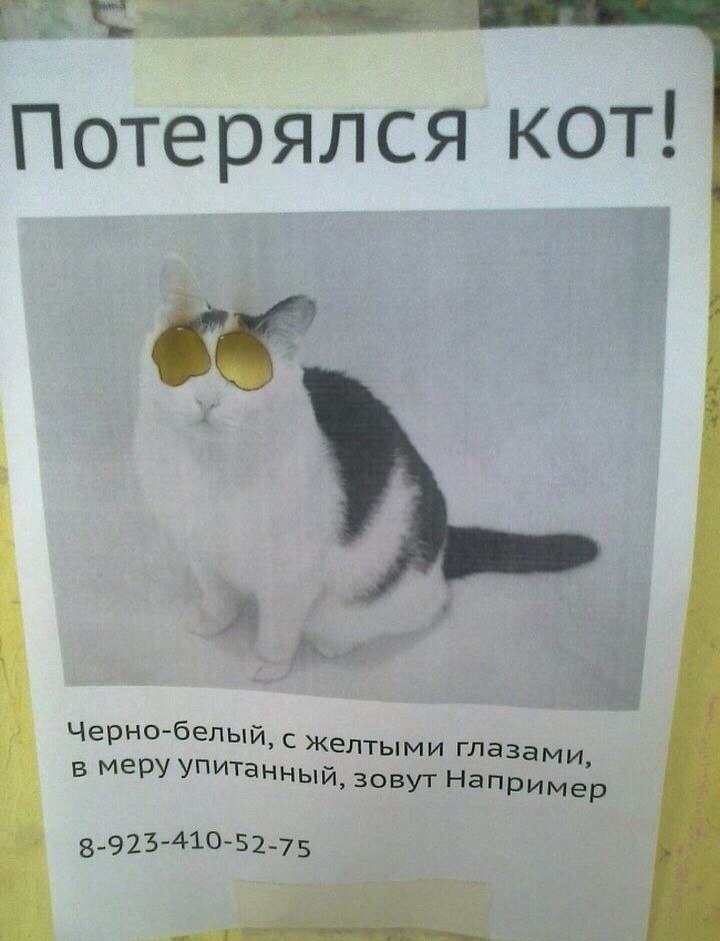 �������, ���������� � �������� ����