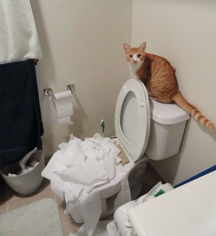 �������, ���������� � �������� ����