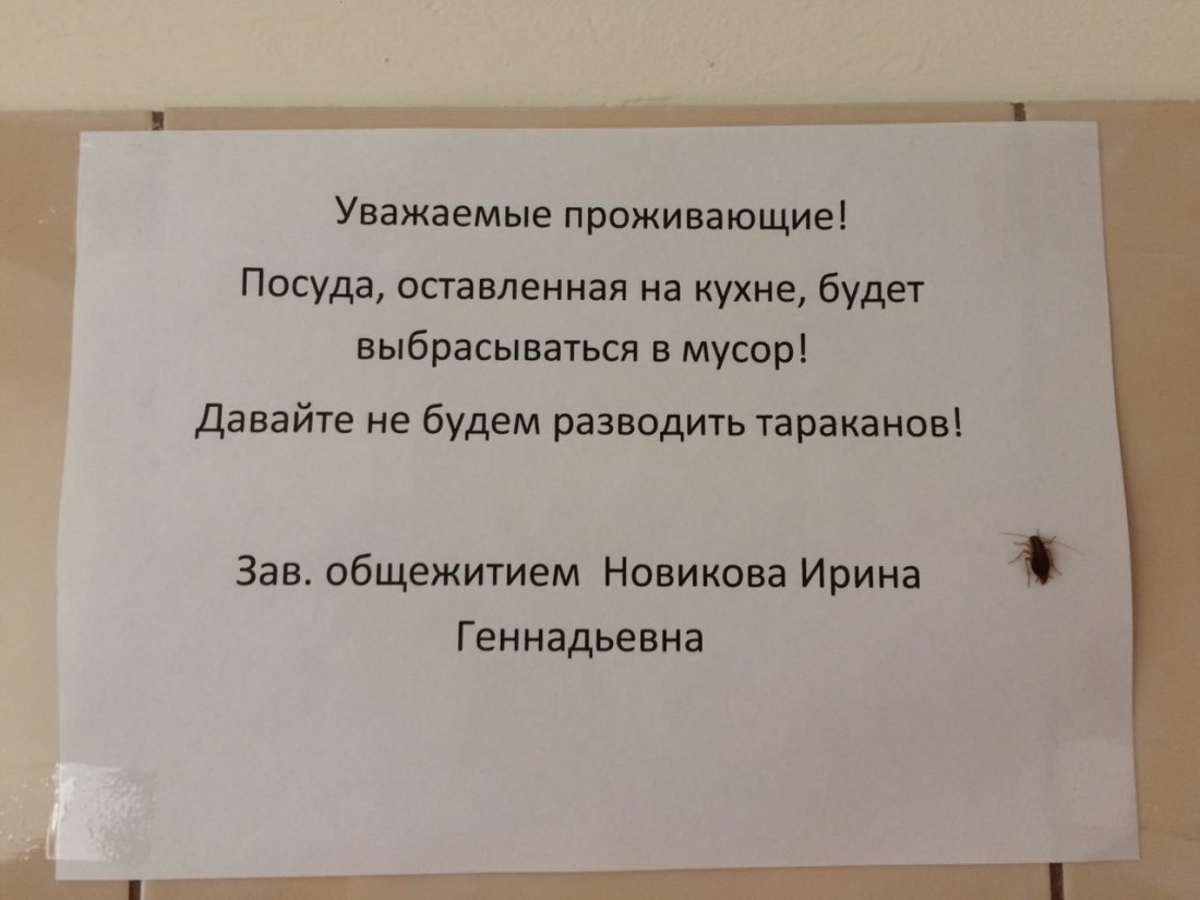 �������, ���������� � �������� ����