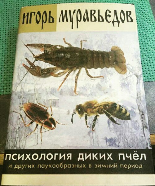 �������, ���������� � �������� ����