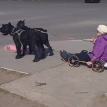 �������, ���������� � �������� ����