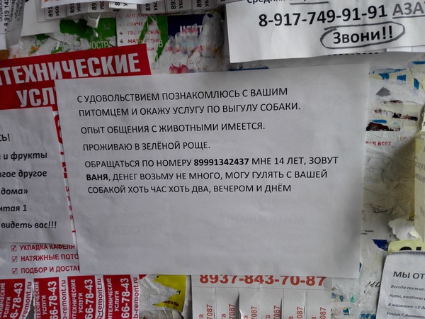 �������, ���������� � �������� ����