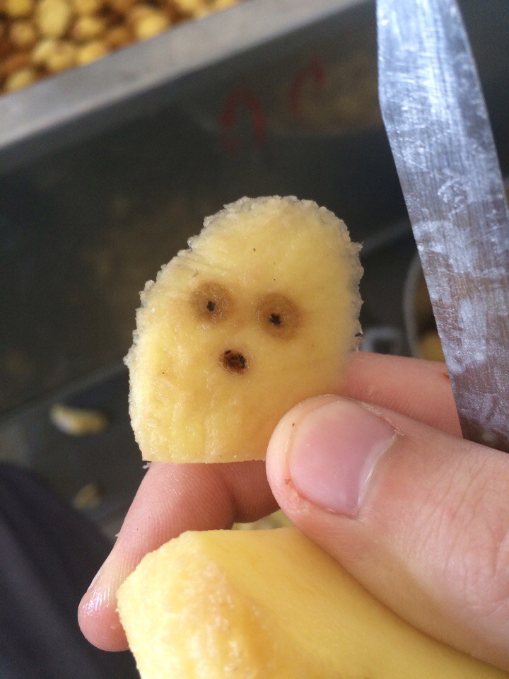 �������, ���������� � �������� ����