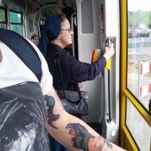 �������, ���������� � �������� ����