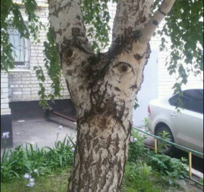�������, ���������� � �������� ����