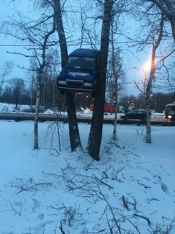 �������, ���������� � �������� ����
