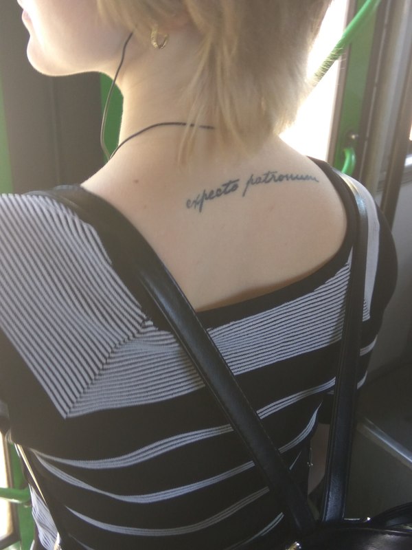 �������, ���������� � �������� ����