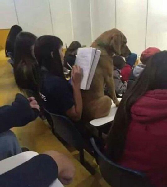 �������, ���������� � �������� ����
