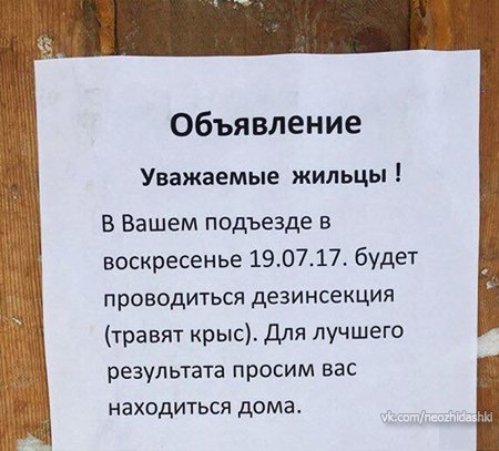 �������, ���������� � �������� ����