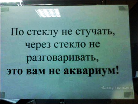 �������, ���������� � �������� ����