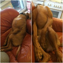 �������, ���������� � �������� ����