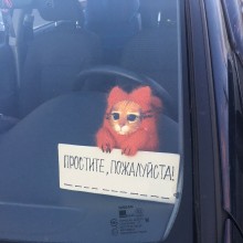 �������, ���������� � �������� ����