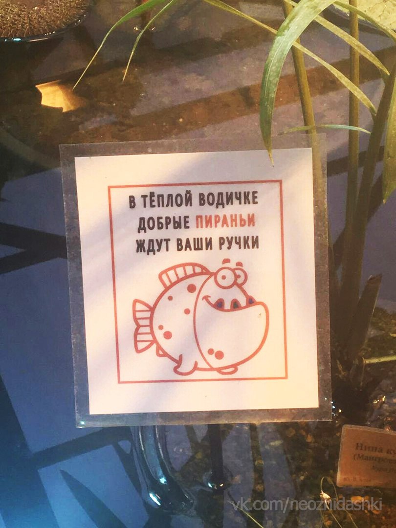 �������, ���������� � �������� ����