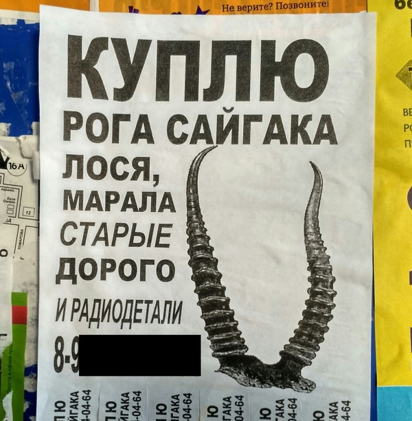 �������, ���������� � �������� ����