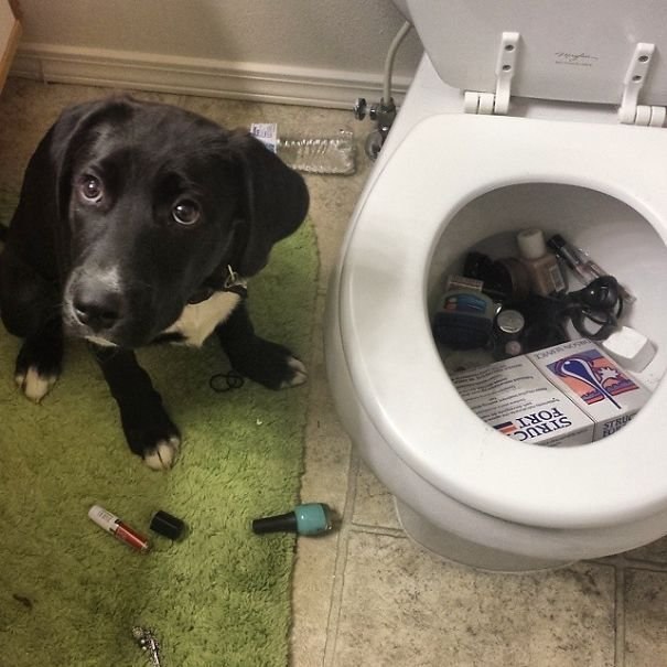 �������, ���������� � �������� ����