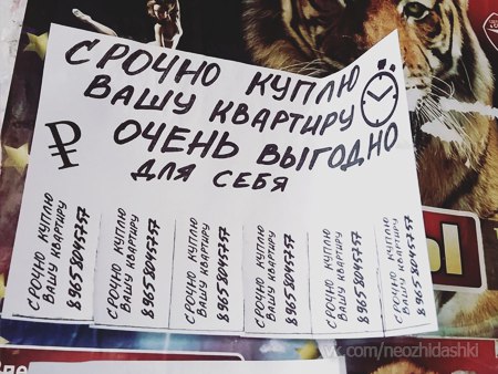 �������, ���������� � �������� ����