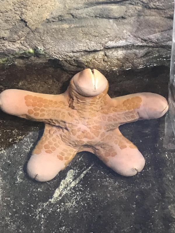 �������, ���������� � �������� ����