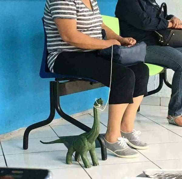 �������, ���������� � �������� ����