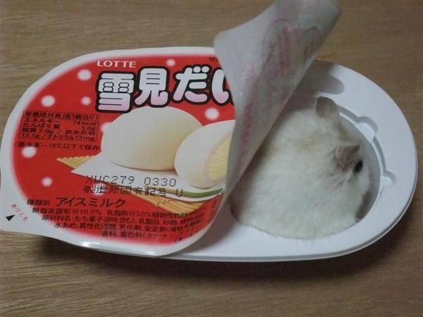 �������, ���������� � �������� ����
