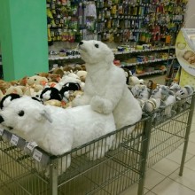 �������, ���������� � �������� ����