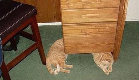 �������, ���������� � �������� ����