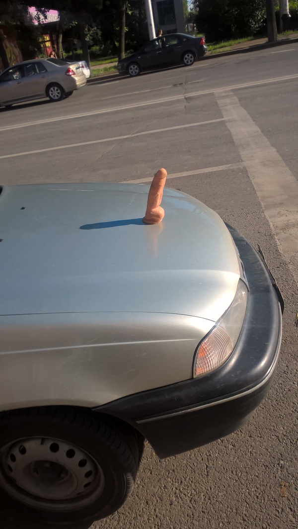 �������, ���������� � �������� ����