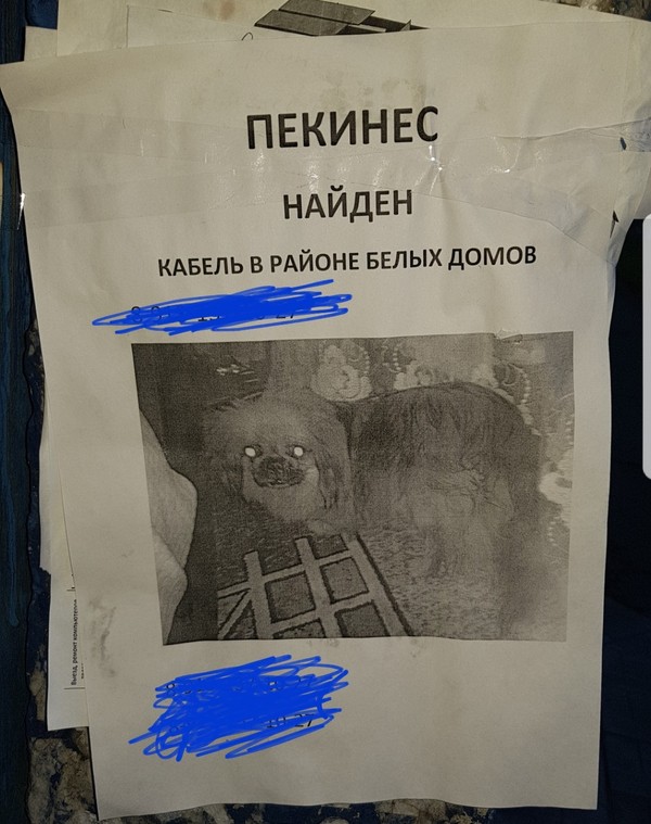 �������, ���������� � �������� ����