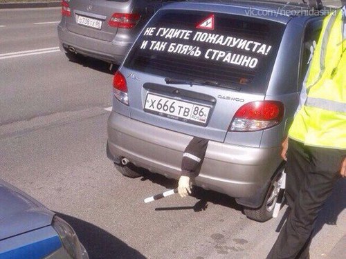 �������, ���������� � �������� ����