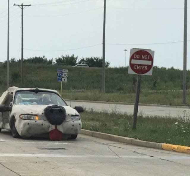 �������, ���������� � �������� ����
