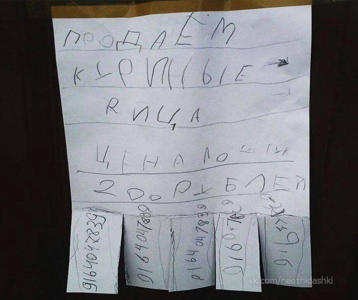 �������, ���������� � �������� ����