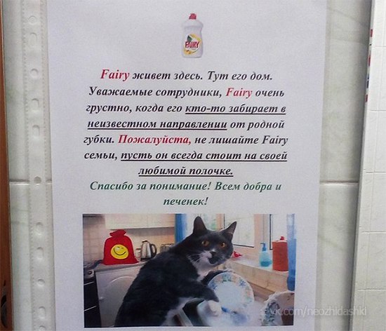 �������, ���������� � �������� ����