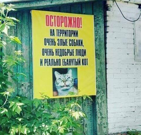 �������, ���������� � �������� ����