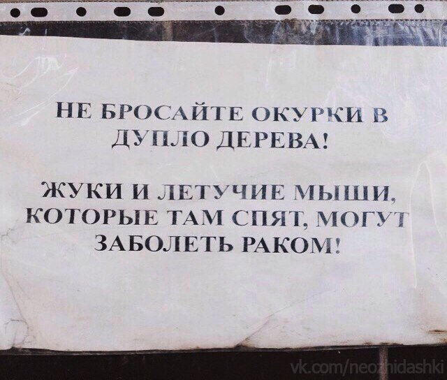 �������, ���������� � �������� ����
