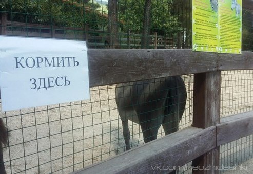 �������, ���������� � �������� ����