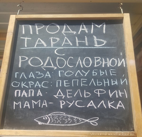 �������, ���������� � �������� ����