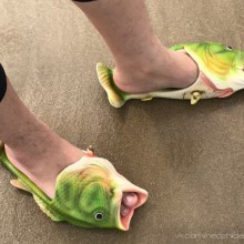 �������, ���������� � �������� ����