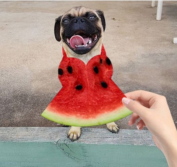 �������, ���������� � �������� ����