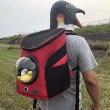 �������, ���������� � �������� ����