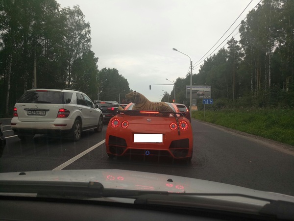 �������, ���������� � �������� ����