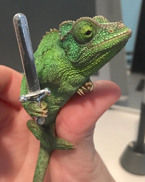 �������, ���������� � �������� ����